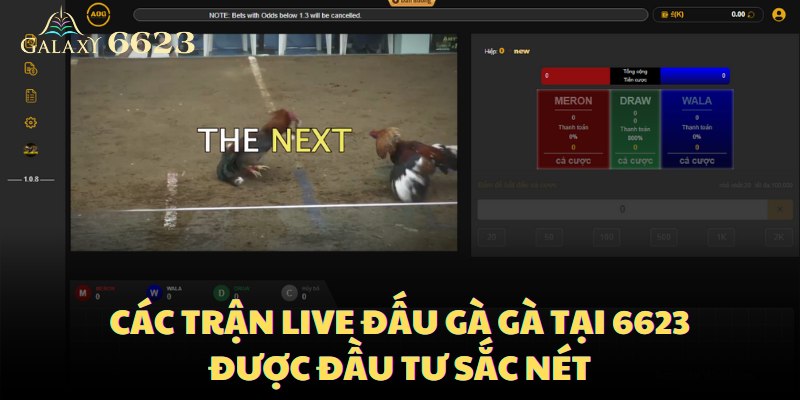 Các trận live đấu gà gà tại 6623 được đầu tư sắc nét